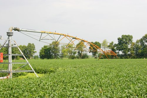 Property photo 145 - 21 Multiple Span Irrigation Pivots, Offered Individually or Combination - Irrigation Equipment Auction